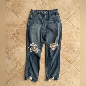 American Eagle Size 10 Curvy Mom Jean
